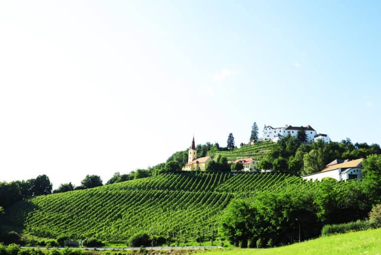 Schloss Kapfenstein