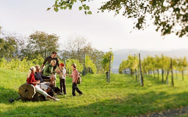 Wandern durch die Weinberge