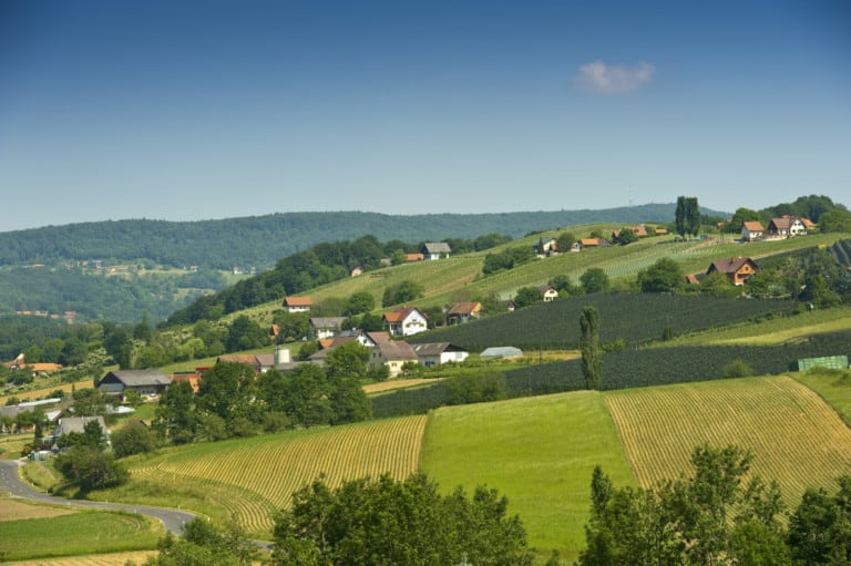 Weinhof Platzer