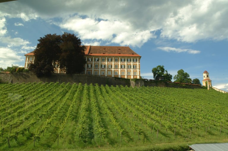 Radfahren in der Region um das Hotel Toscanina