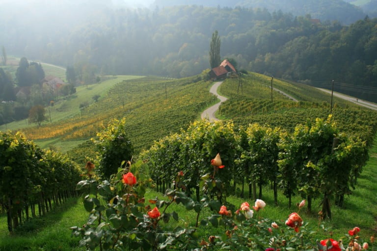 Radfahren in der Region um das Hotel Toscanina