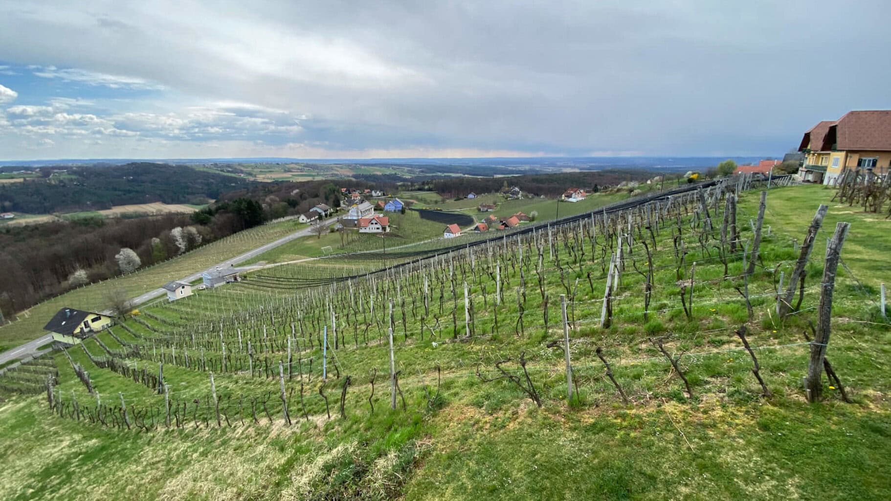Ein Blick weit ins Leibnitzer Feld am Traminerweg über die herbstlichen Weinberge hinweg bei klarer Sicht