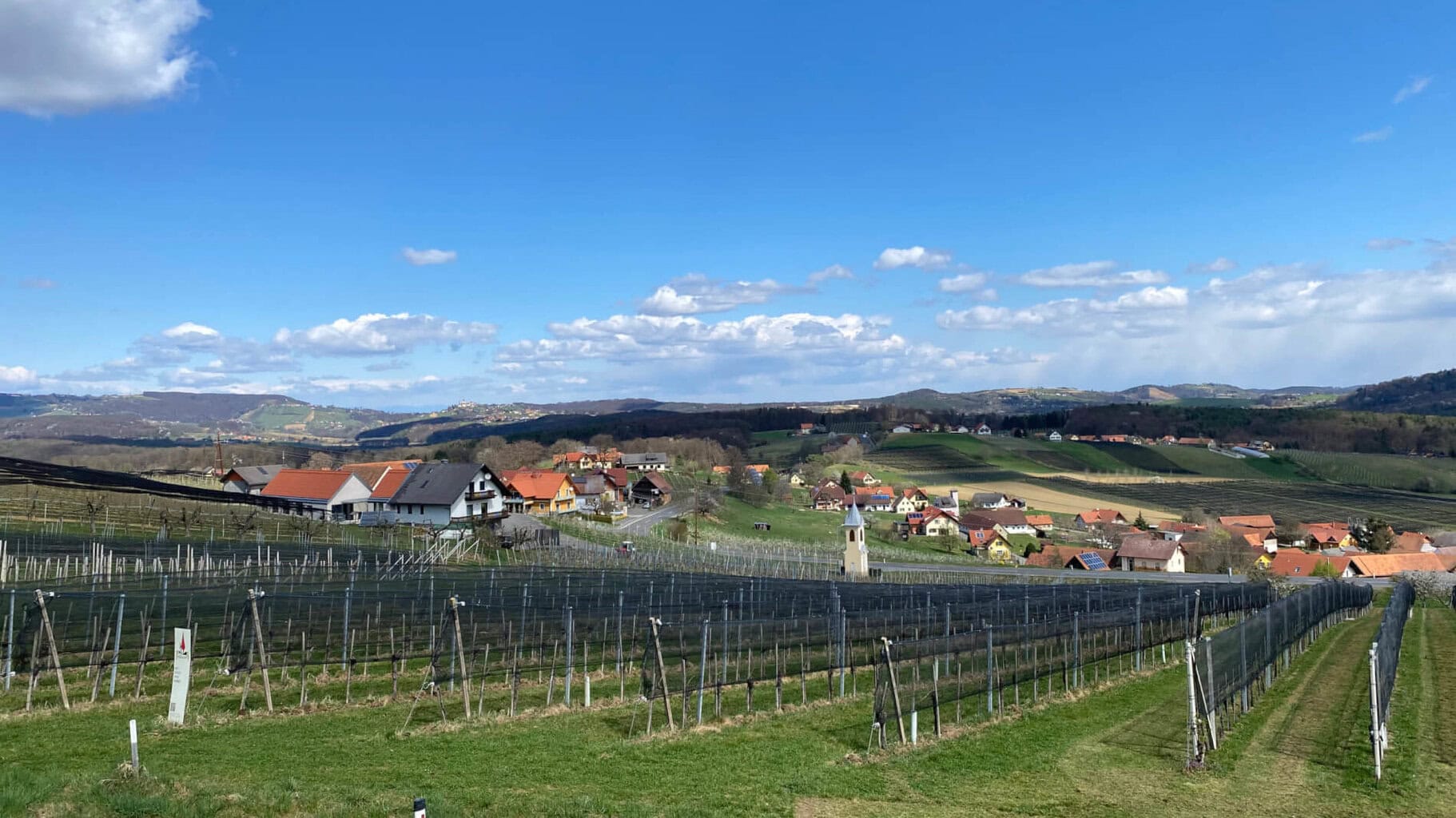 Einen Blick in die Ferne schweifen lassen entspannt unheimlich