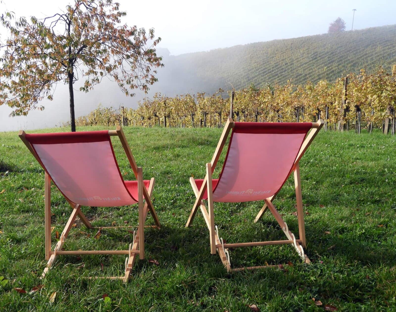 Entspannen Sie im Herbst in Radkersburg mit Blick auf die Weinberge, Hotel Toscanina.