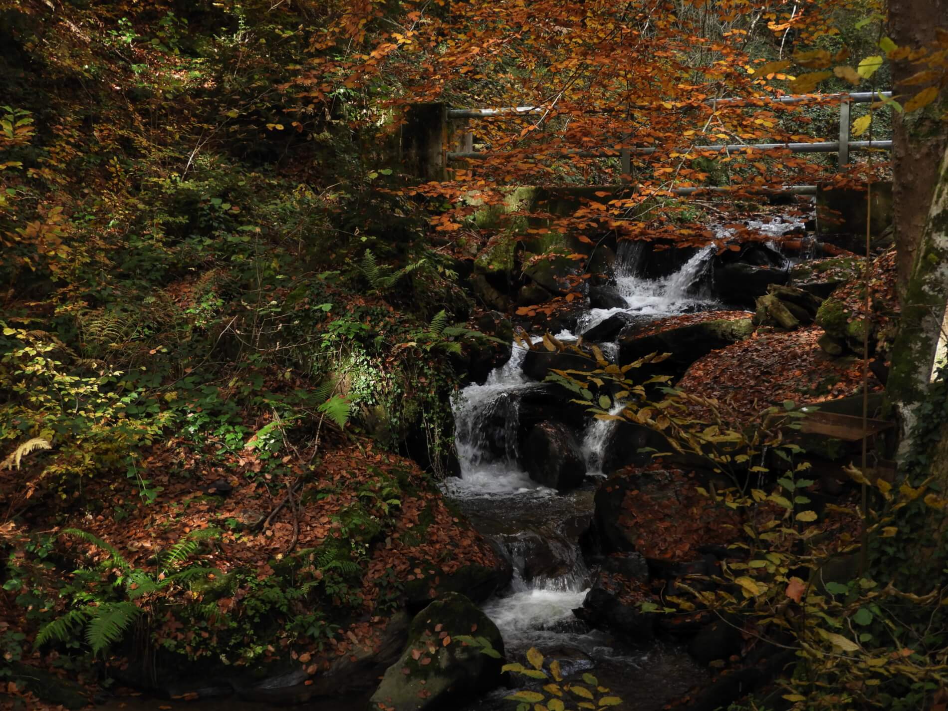 Alte Brücke über Wasserfall im Herbst, Radkersburg, Österreich.
