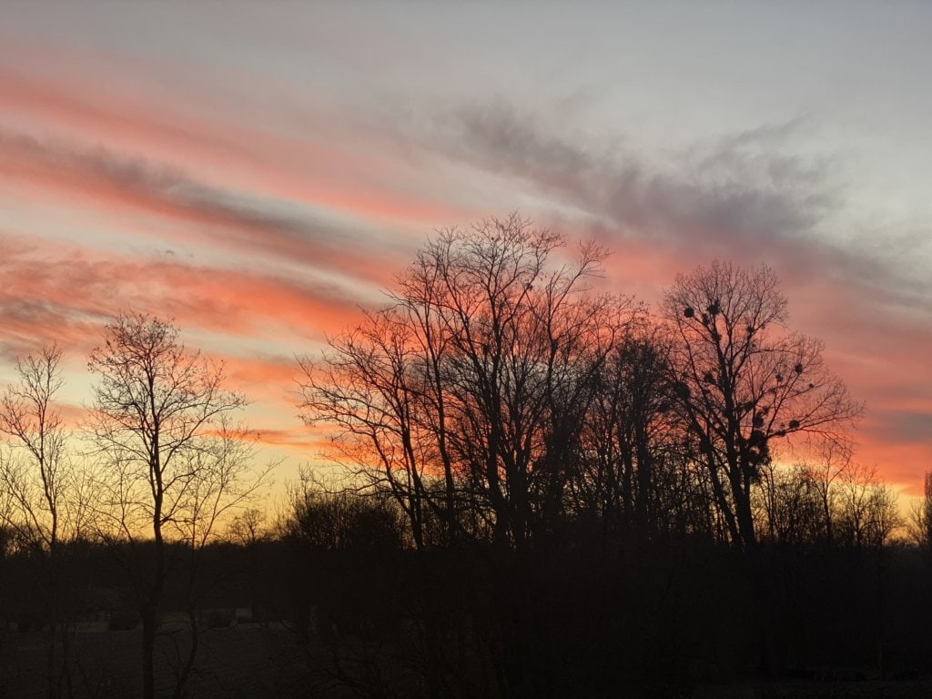Wunderschöner Sonnenuntergang über Bäumen bei Hotel Toscanina, ideal für Ihren Aufenthalt.