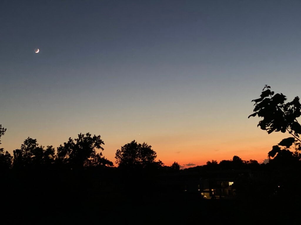 Sonnenuntergang über Bäumen bei Hotel Toscanina, ruhige Atmosphäre, perfekte Lage.